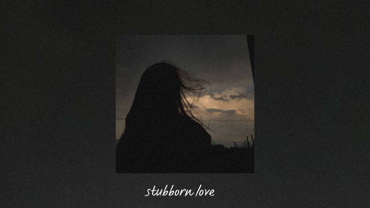 the lumineers - stubborn love (sped up)