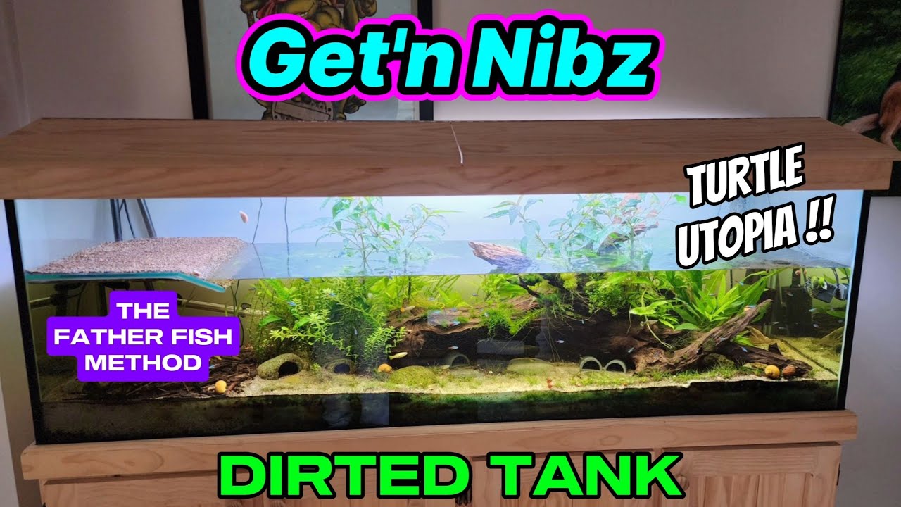 DIRTED Planted AQUARIUM Setup CRAZY Plant GROWTH