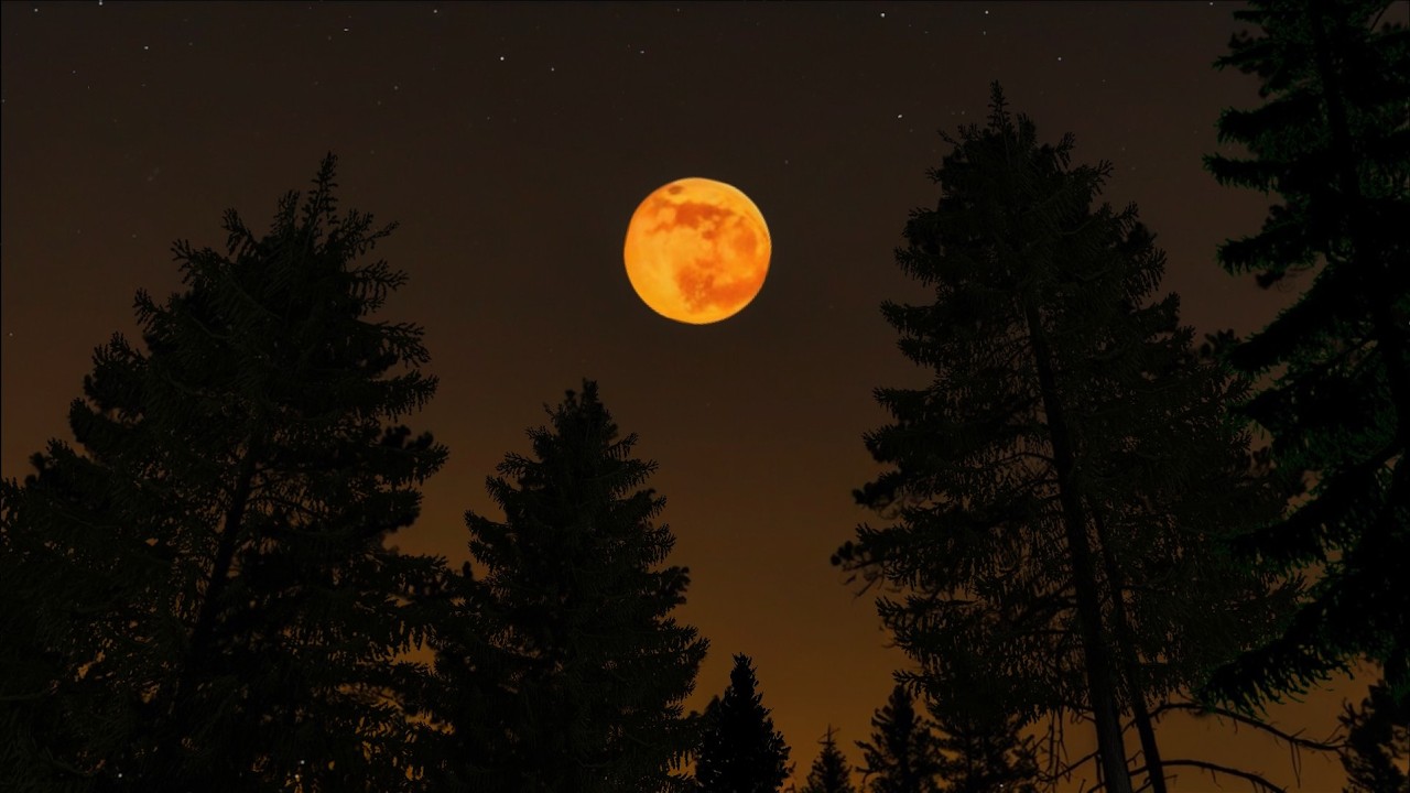 Twilight Forest Dusk Ambience🌲🌙Night Ambience ASMR with Soft Cricket Sound for Relaxation & Sleep🦗