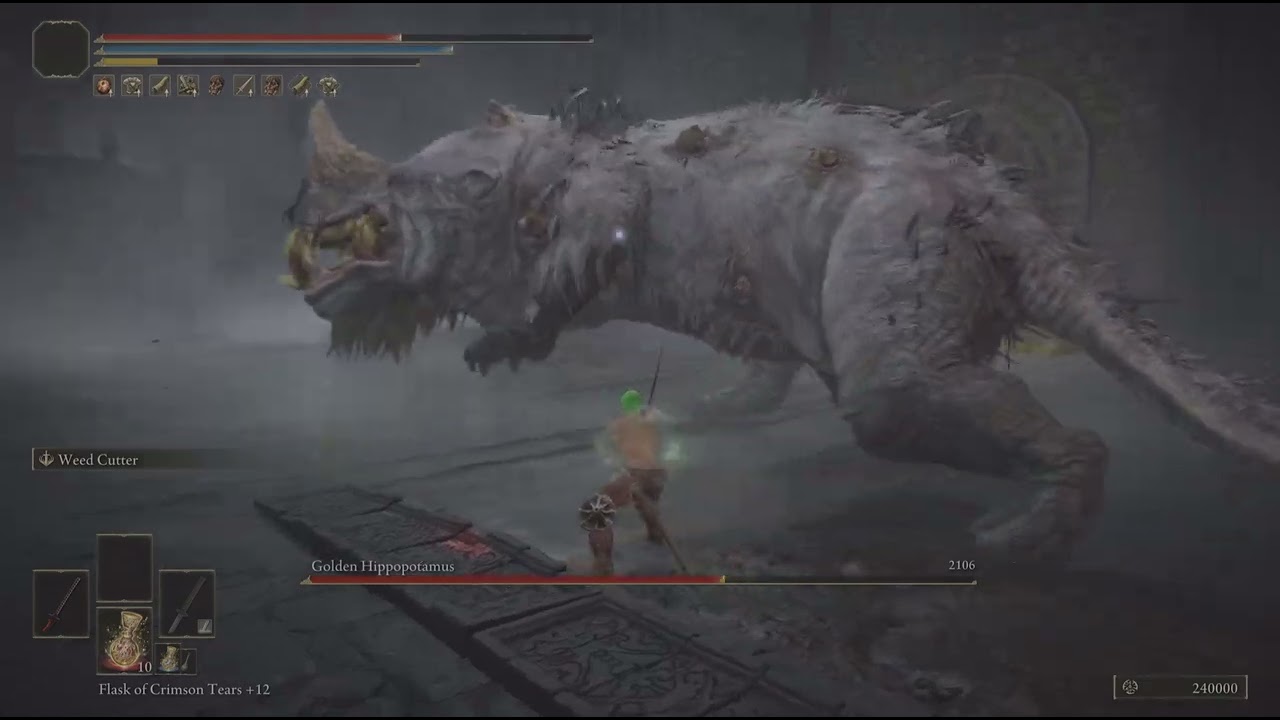 ZORO vs GOLDEN HIPPOPOTAMUS NG+