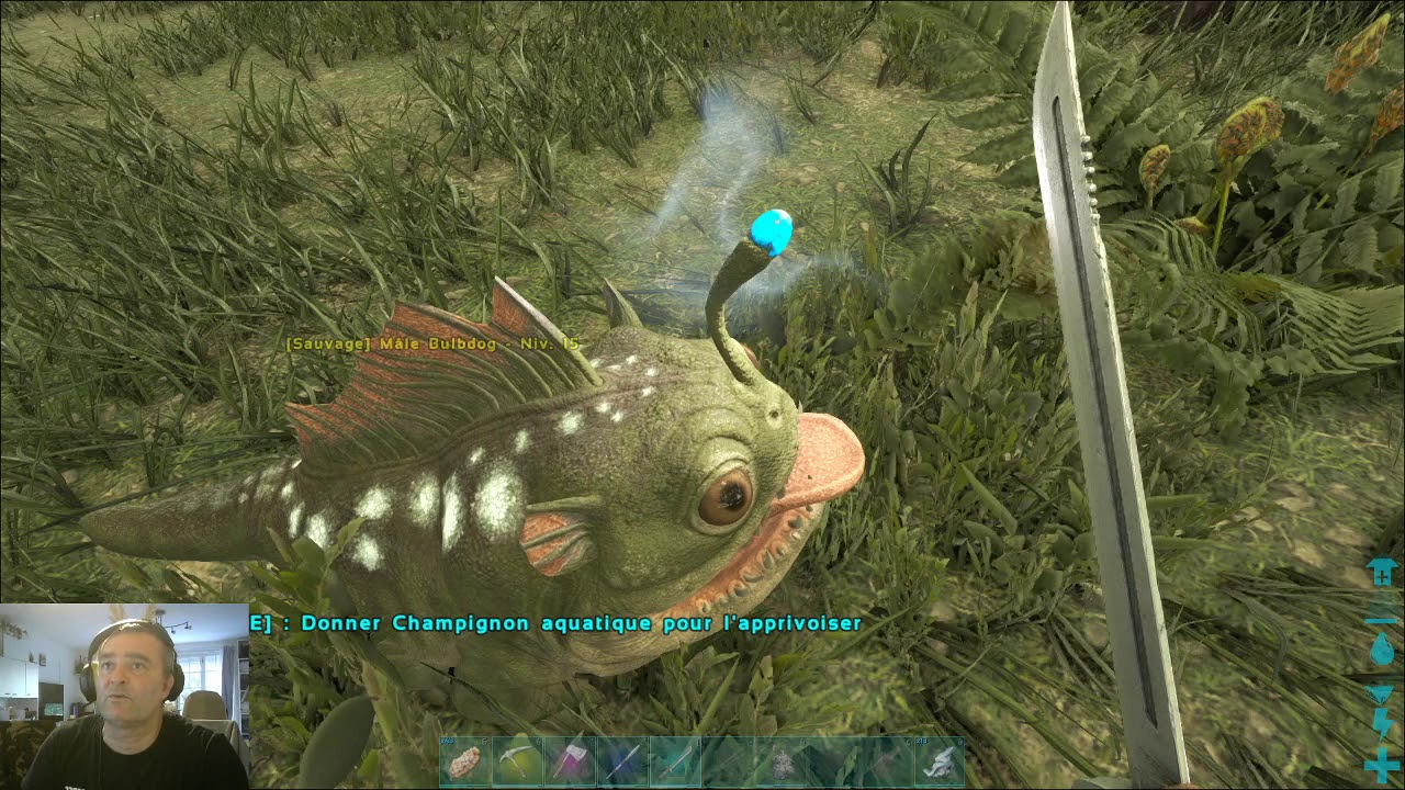 Ark #19 Comment tamer (apprivoiser) un Bulbdog ? Papi Corse PC 24 05 20