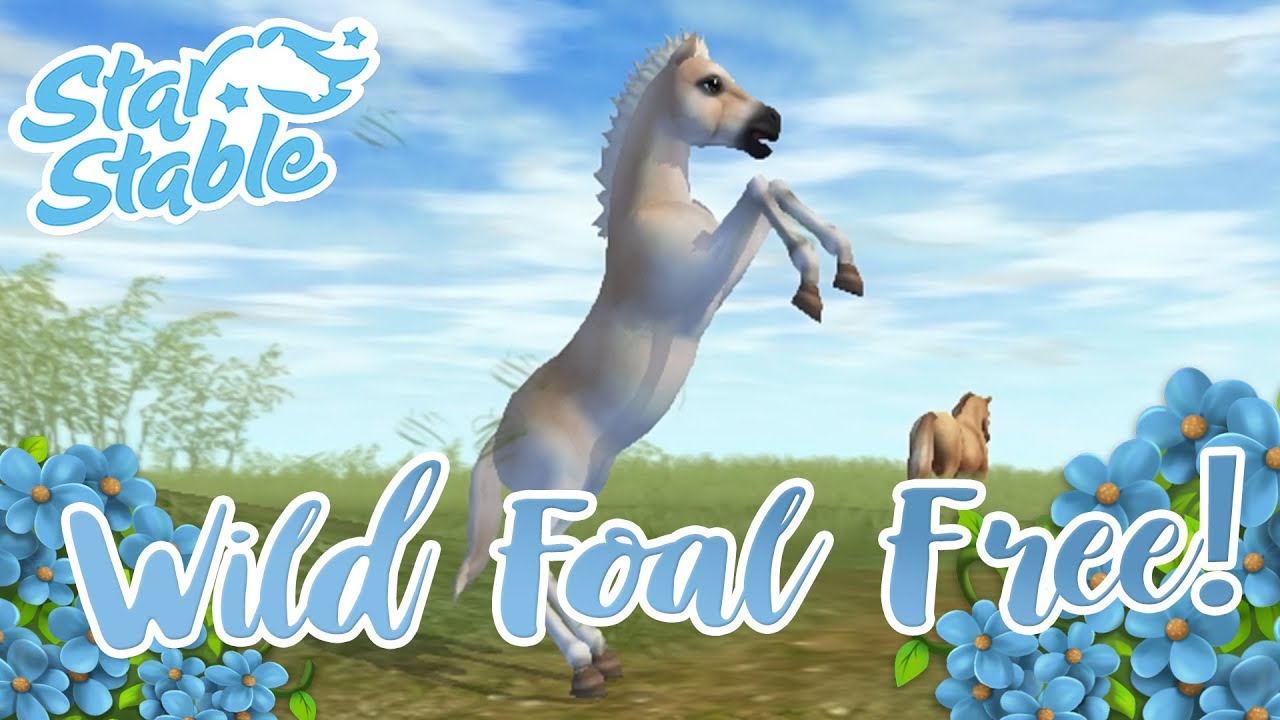 Дикий спасённый жеребёнок становится свободным! 🐴🌟 Star Stable Online
