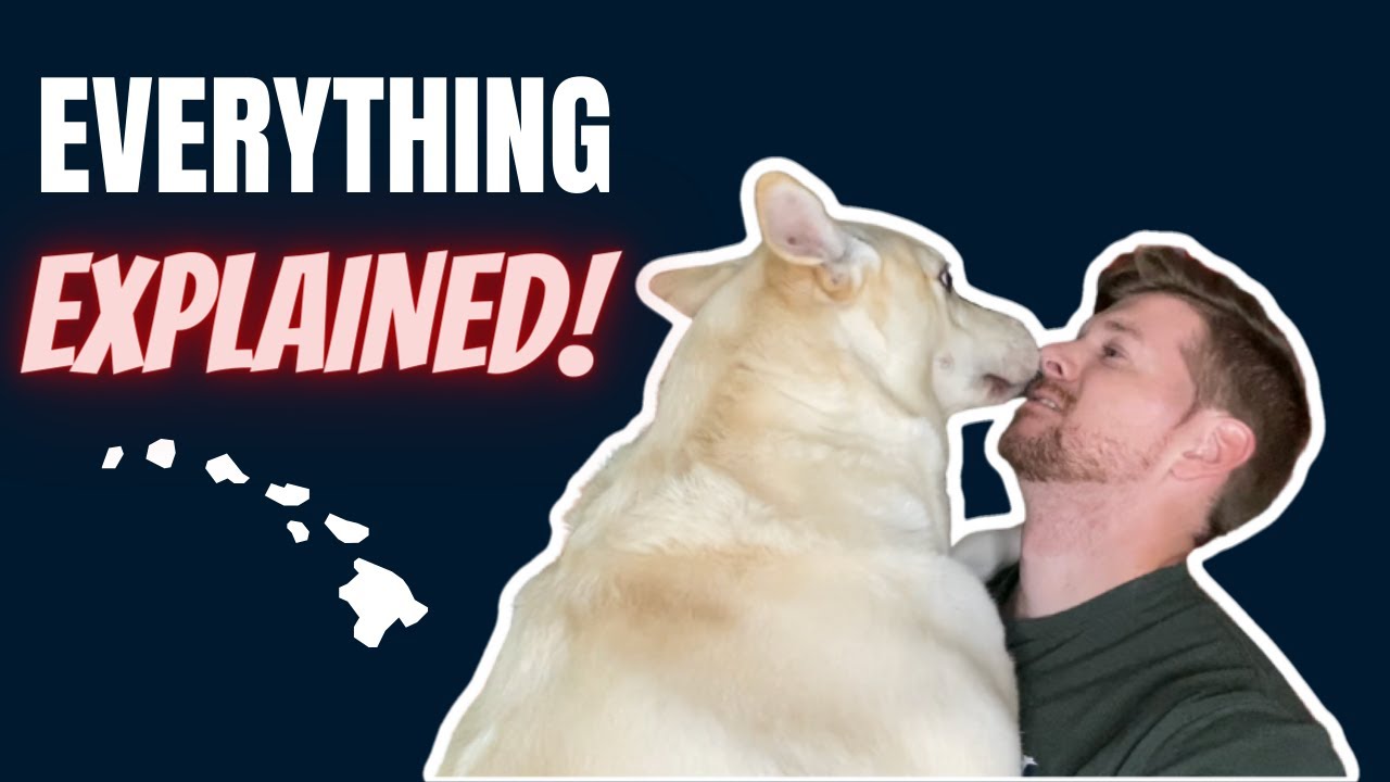 PCSing To Hawaii With Pets [EVERYTHING You NEED To Know]