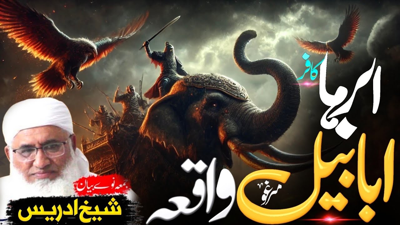 Pashto Bayan/Abraha kafir aw ababeel qissa/Molana sheikh idrees sahib/ابرہا کافر او ابابیل مرغئ