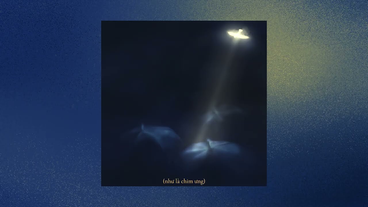 Arlo - Chim ưng
