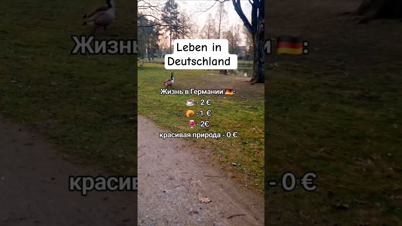 Leben in Deutschland/ Жизнь в Германии/ Красота в глазах смотрящего 😸 #travel #liebe #nature #music