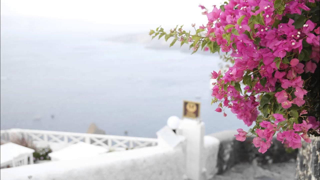 J.シュトラウス2世: 喜歌劇｢こうもり｣：序曲［ナクソス・クラシック・キュレーション #元気］