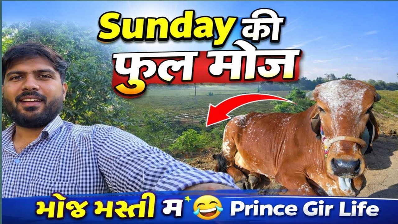 રવિવારની ફુલ મોજ 😍 | Sunday Special Vlog 🔥| Prince Gir Life |@Prince_Parmar_06 