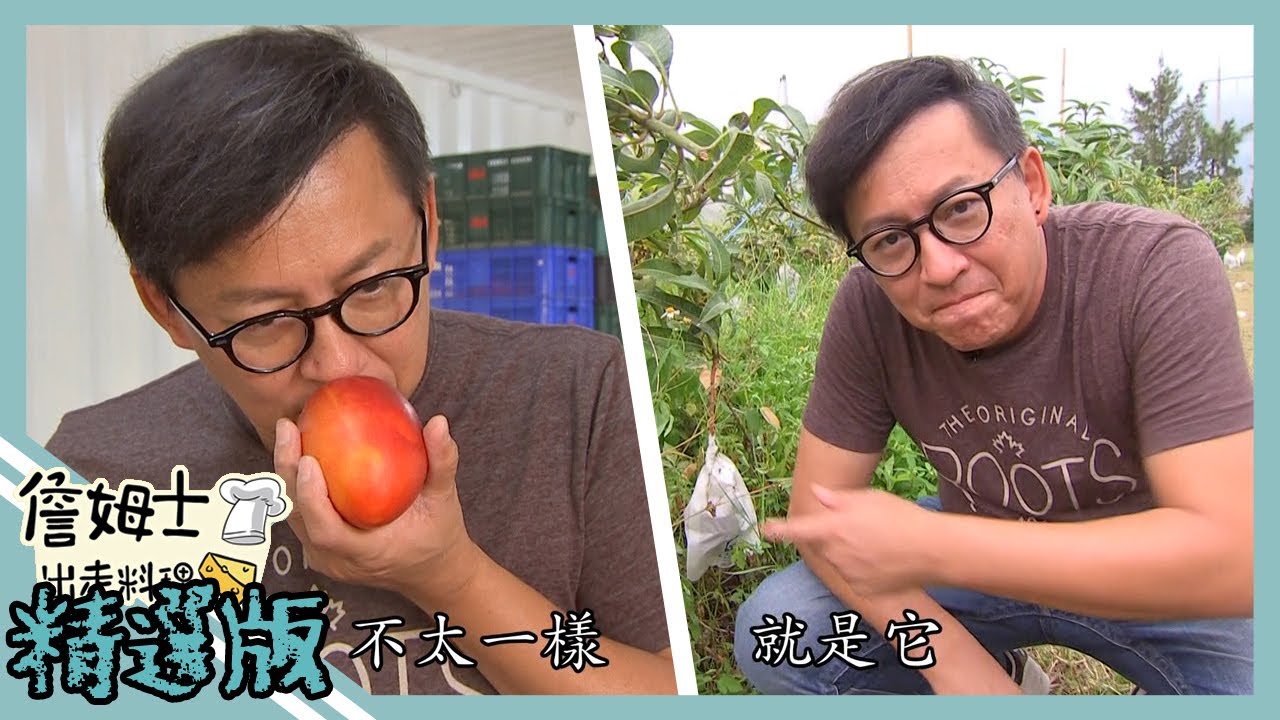 《精選:詹姆士棒的》屏東愛文芒果產地直銷 想挑選好的芒果這樣選