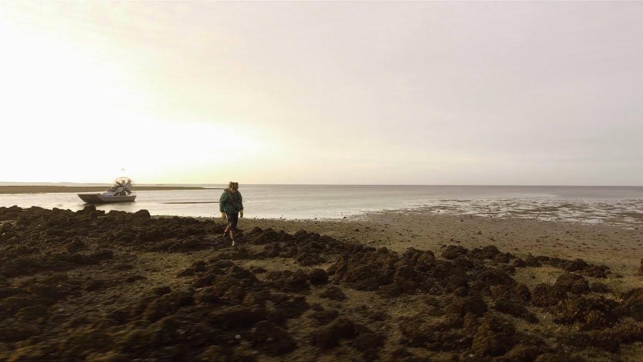 Unfiltered: The Truth About Oysters Trailer 