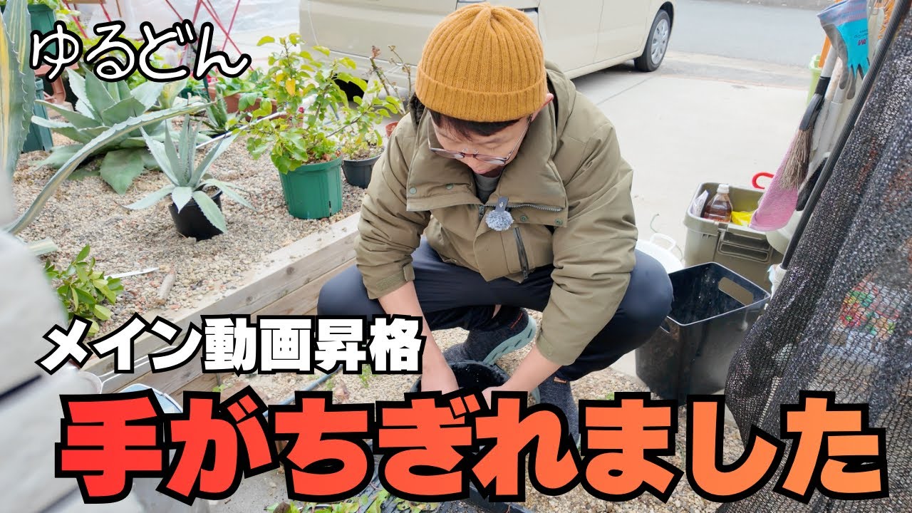 【ラジオ】看護師が超寒い中野菜を洗う。手がちぎれます。