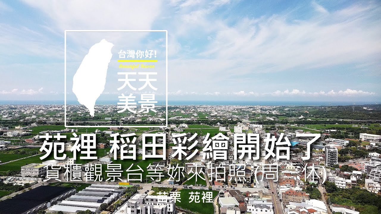 苗栗 苑裡 稻田彩繪開始了(貨櫃觀景台等妳來拍照)