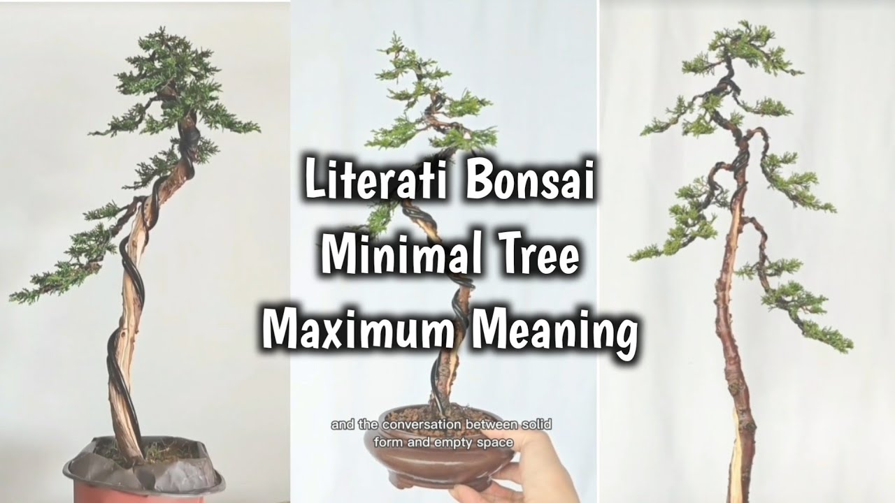 Literati Bonsai: Минималистичное дерево, максимум смысла.