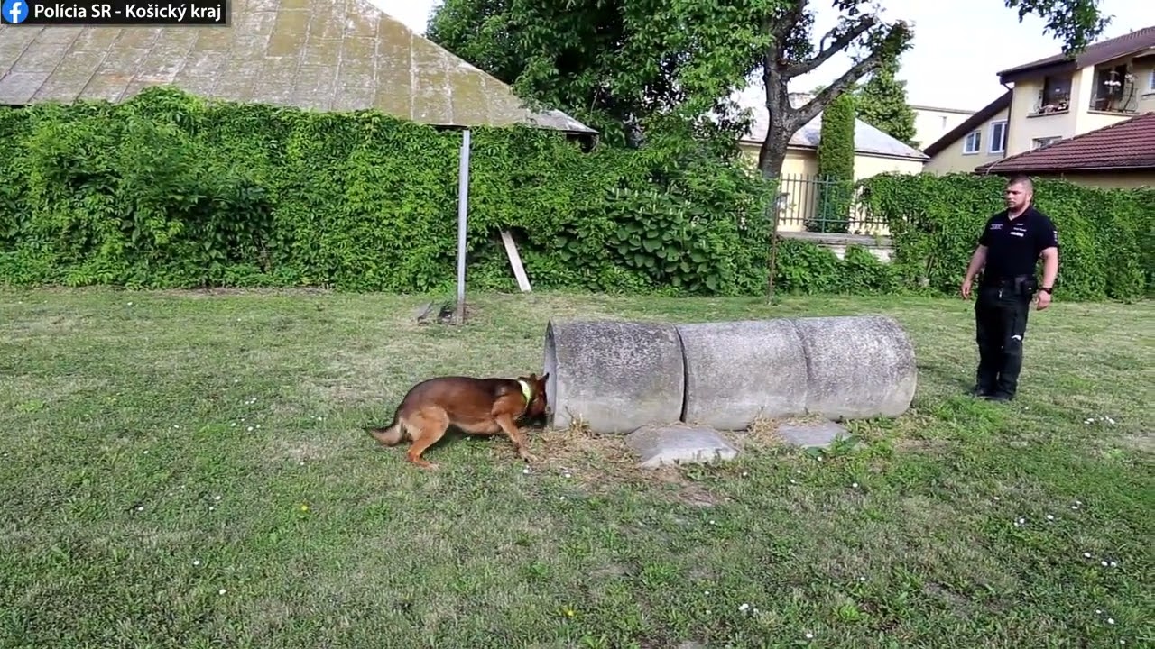 Policajná práca pohľadom psovoda - Pridaj sa k nám!
