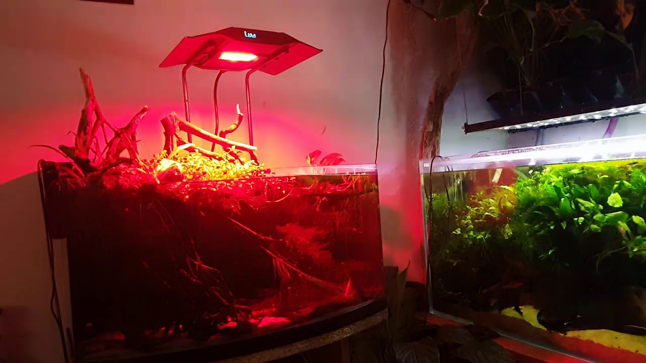 Maxspect RSX F R5-50