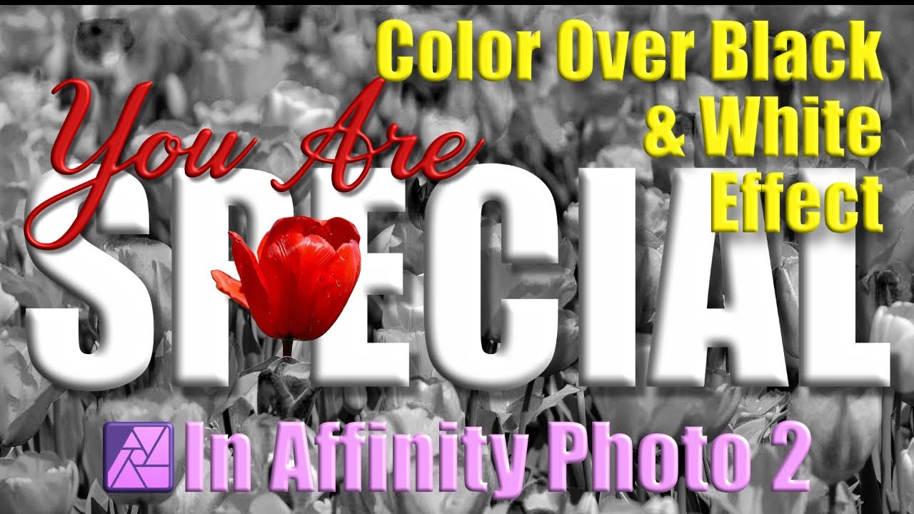 Fast & Easy Color Over Black & White Effect in Affinity Photo 2
