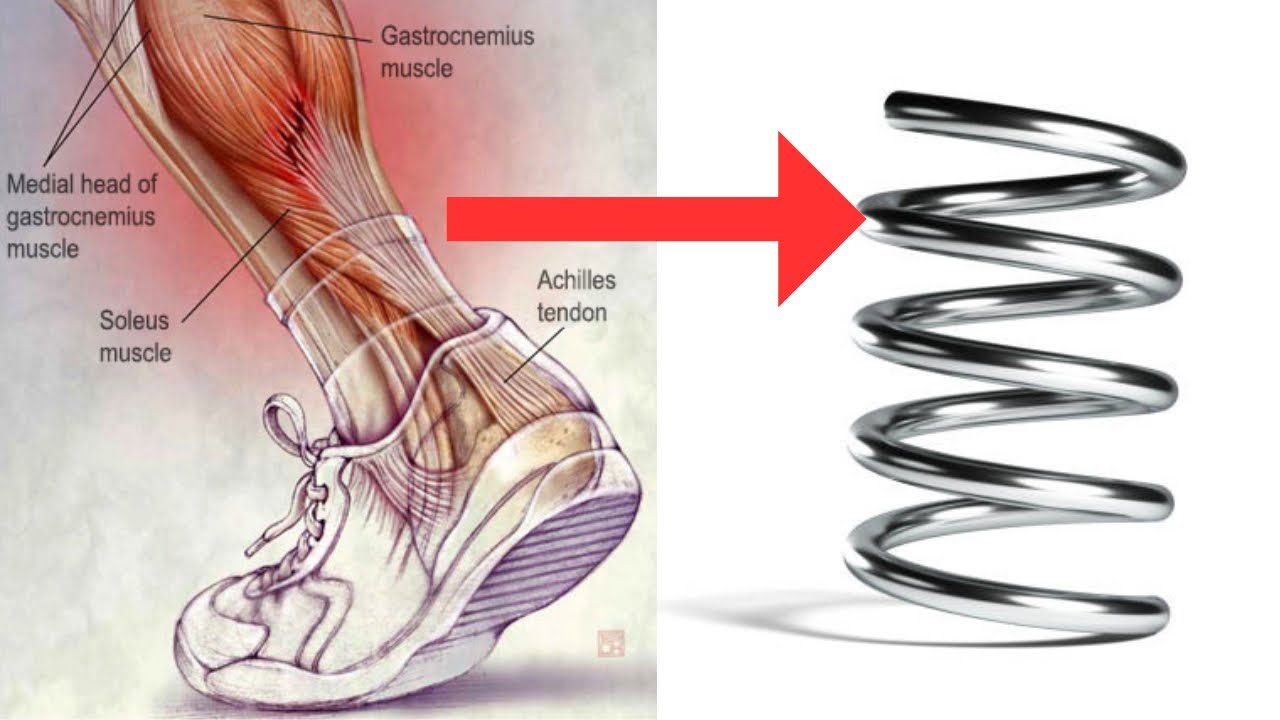 How To Get Stiffer Tendons