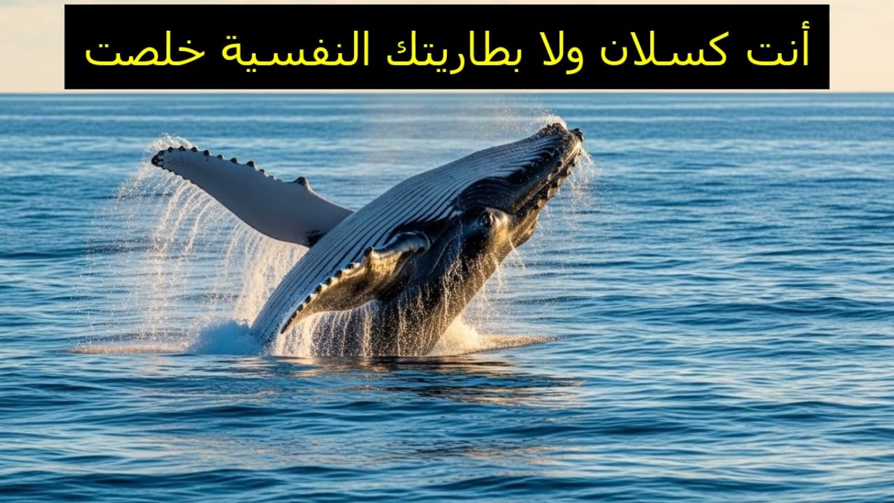 أنت كسلان ولا بطاريتك النفسية خلصت