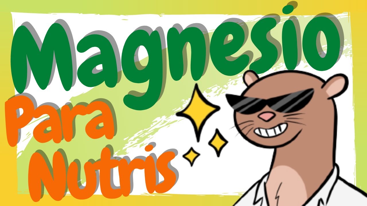 ¿Qué es el Magnesio? / Magnesio en Nutrición