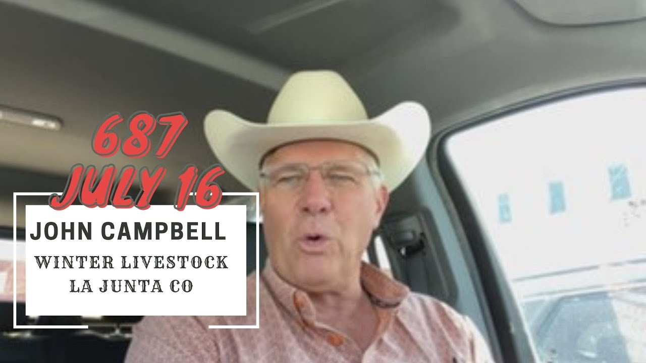 John Campbell - Winter Livestock La Junta CO Market Report - Tuesday, July 16, 2024