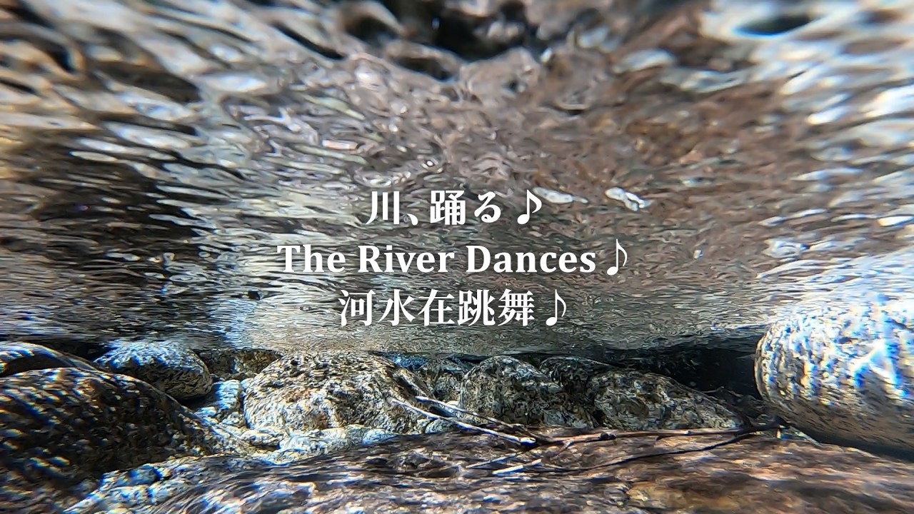 The Soundscape OF Yakushima