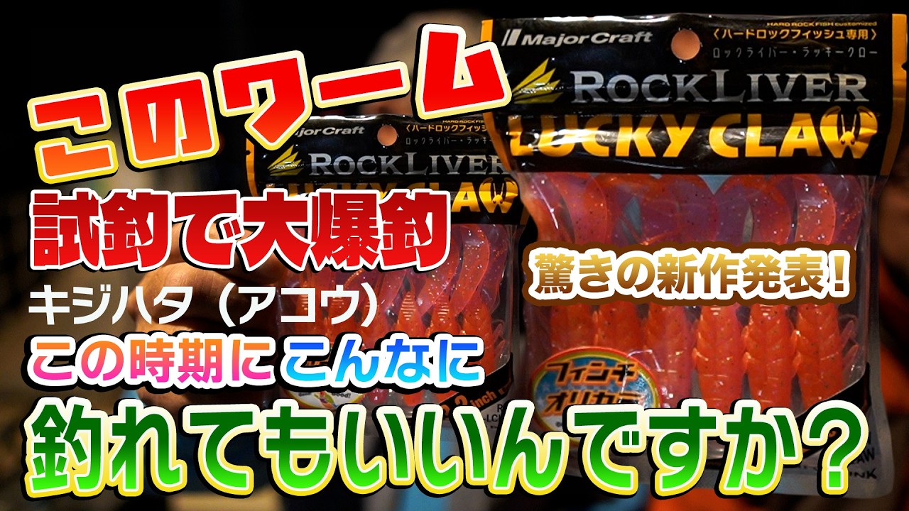 【驚きの新作発表】こんなに釣れてもいいのか？とプロも驚く釣果。アコウ釣りに欠かせないワームの新作を試したら入れ食いだった【404】