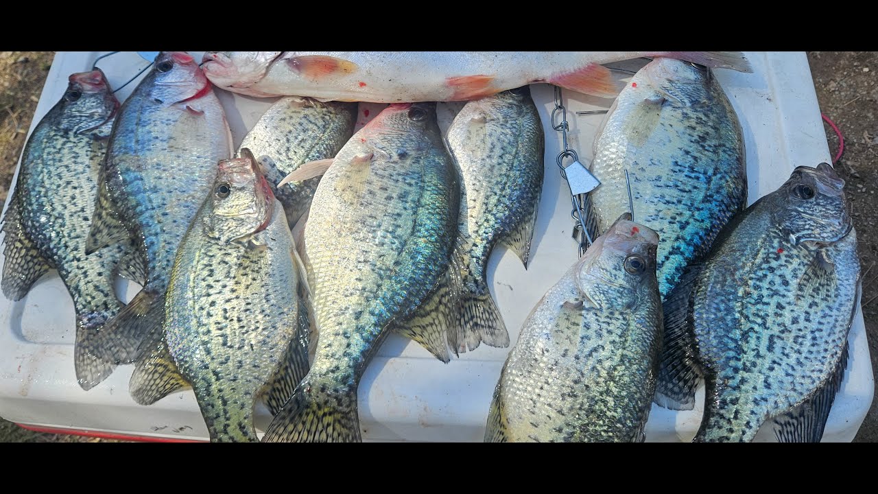 Indian Valley Reservoir - Fishing for Crappie and Bass