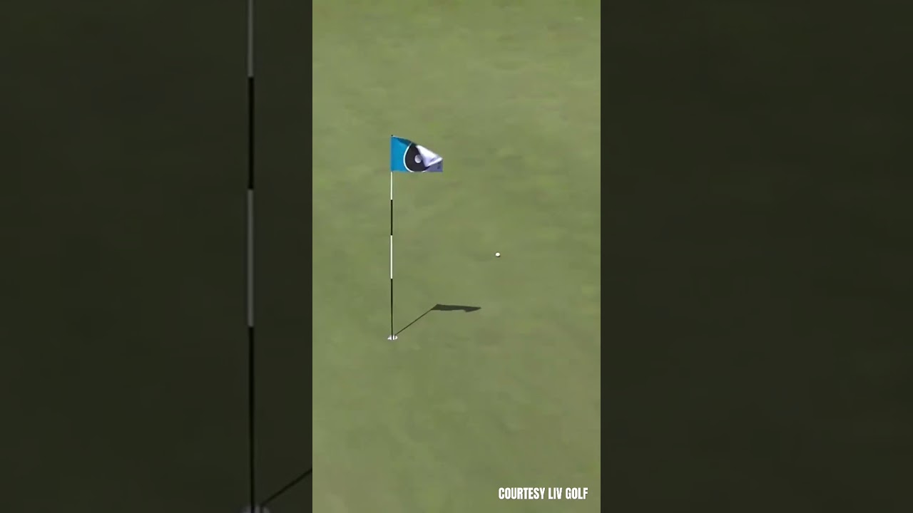 BIRDIE TRAIN FOR PIETERS 