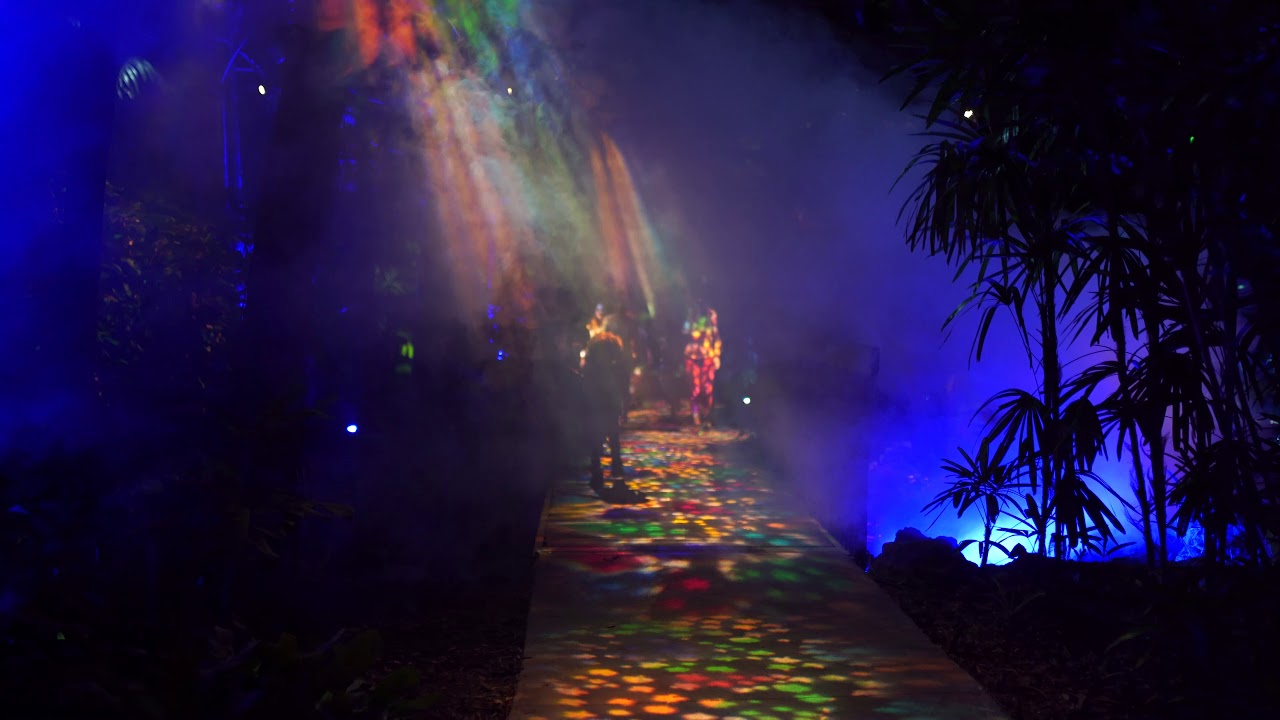 The Night Garden At Fairchild [4K HD] Sony A7 III + Sigma 35mm F1.4 Art Low Light Performance Test