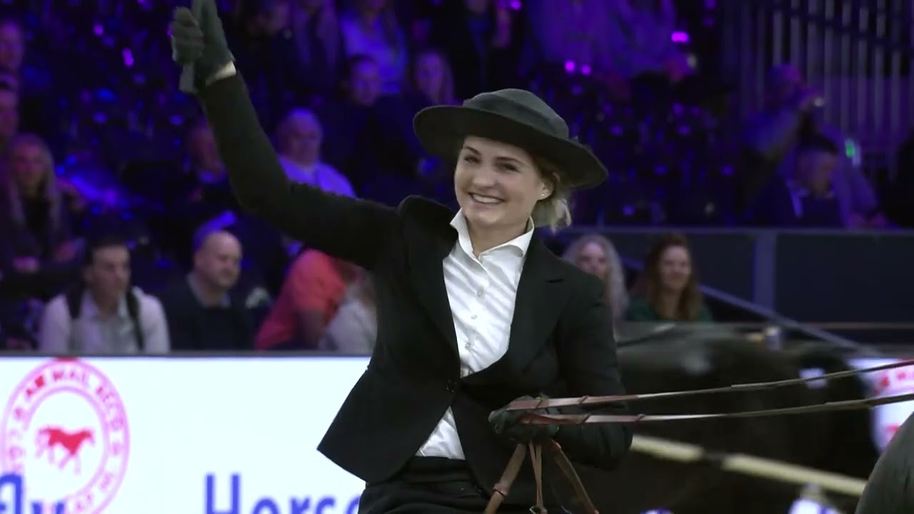 HK 2026 - Horses2fly KFPS sportcompetitie tuigen hengsten/ruinen