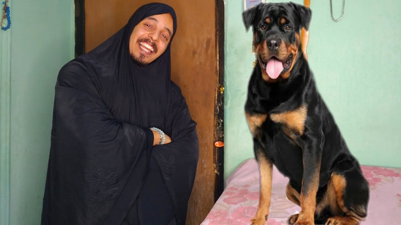 لما امك تكون نفسها في كلب 🐶😂|Maher Ortega 