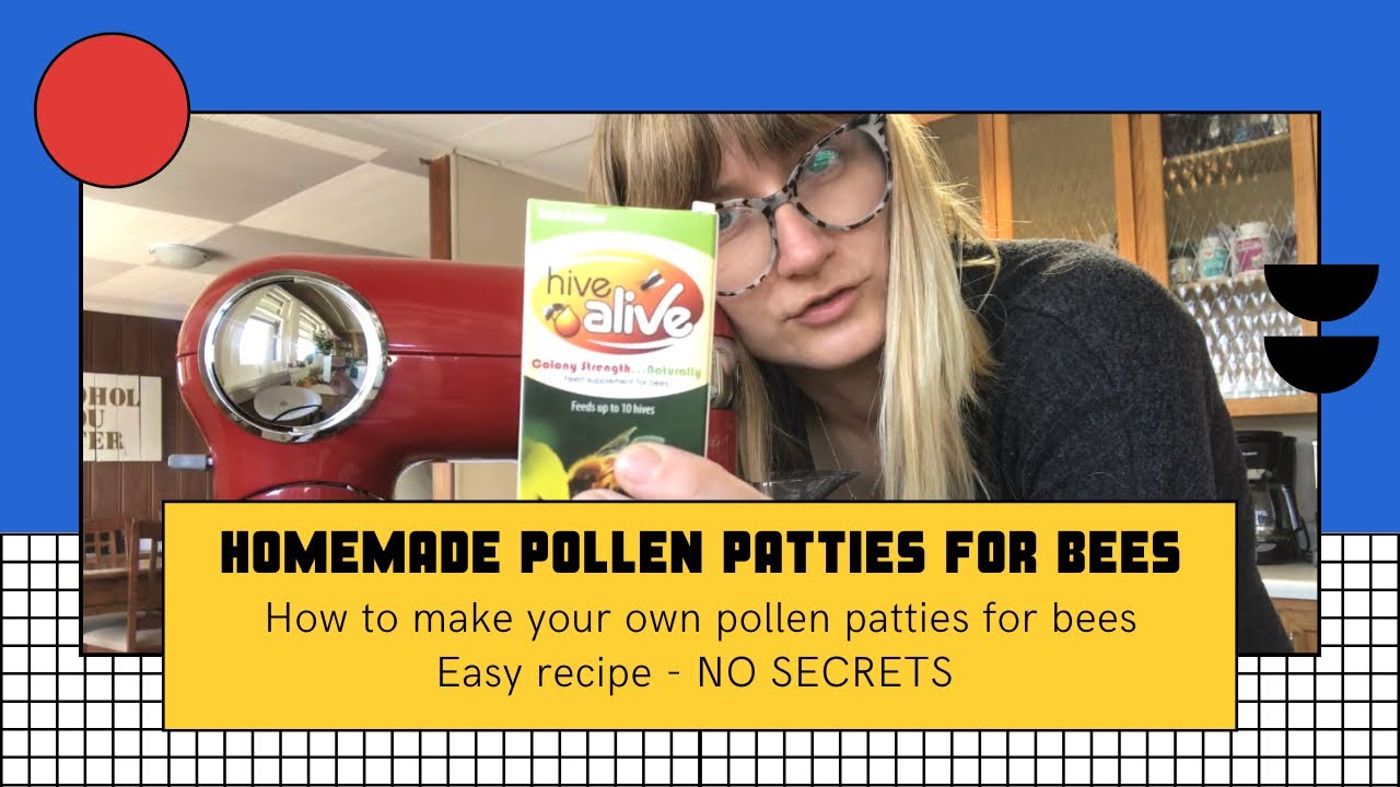 Easy Homemade Pollen Patty Recipe - DIY Pollen Patties for Bees - Beekeeping 101 - Beekeeping Girl