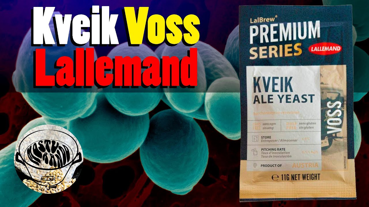 Kveik Voss Lallemand