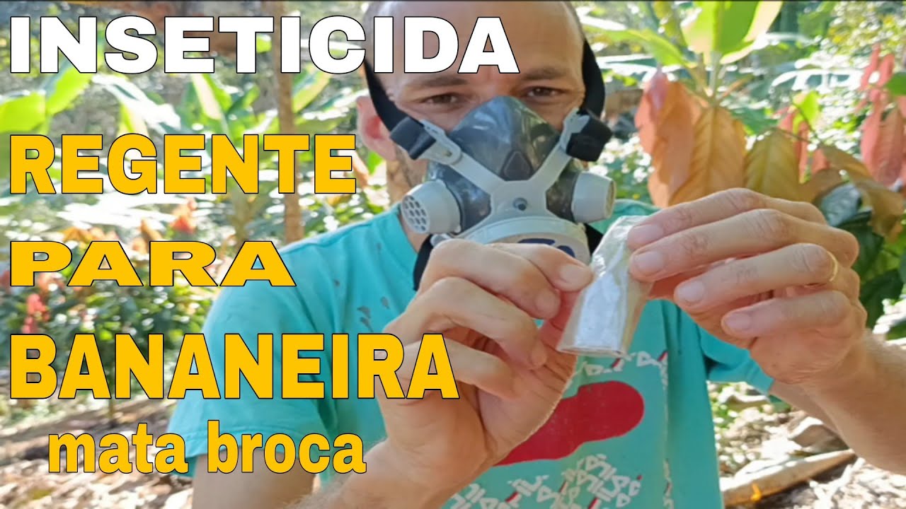 🛑 MULEQUE DA BANANEIRA,COMO ELIMINAR ( broca do rizoma)😱😱