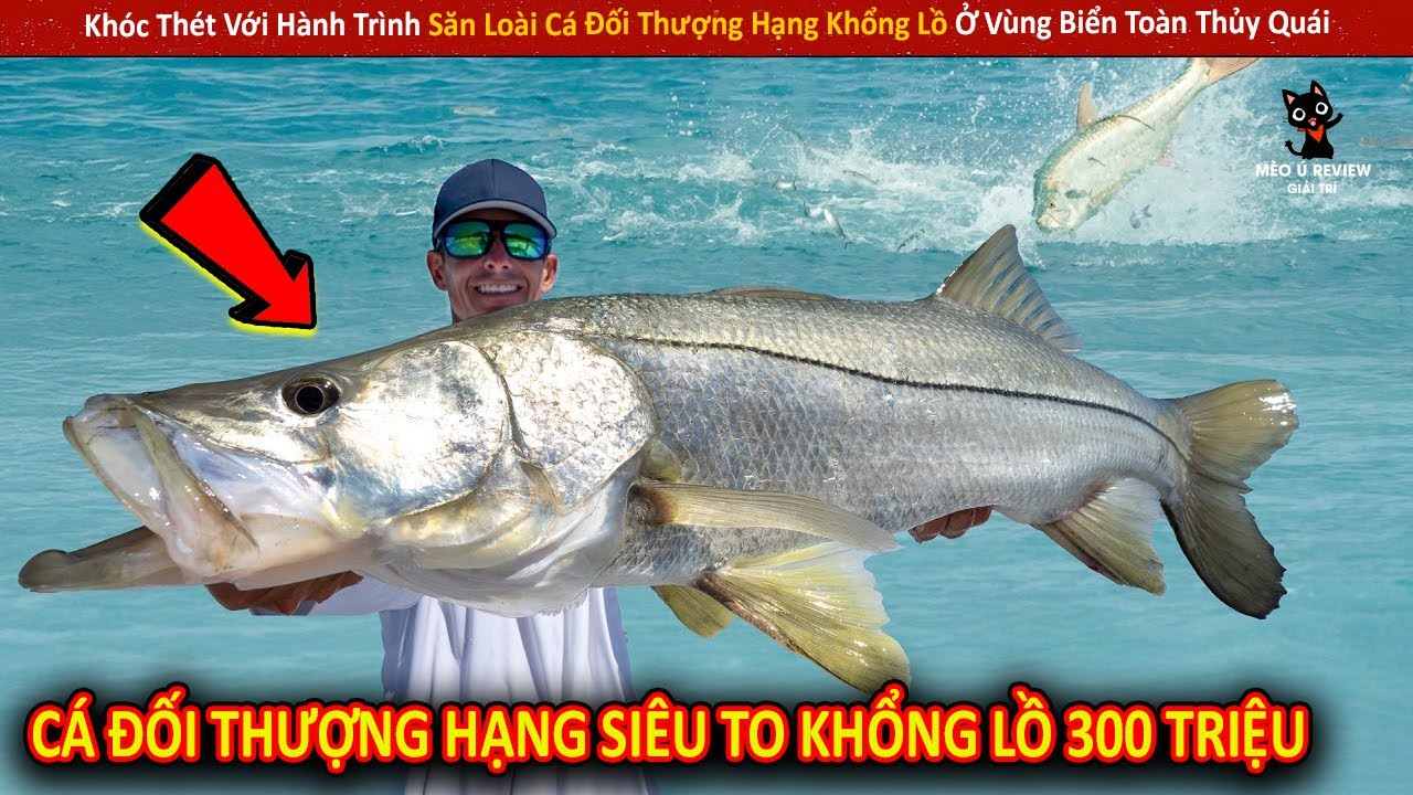 Khóc Thét Với Hành Trình Săn Loài Cá Đối Thượng Hạng Khổng Lồ Ở Vùng Biển Toàn Thủy Quái