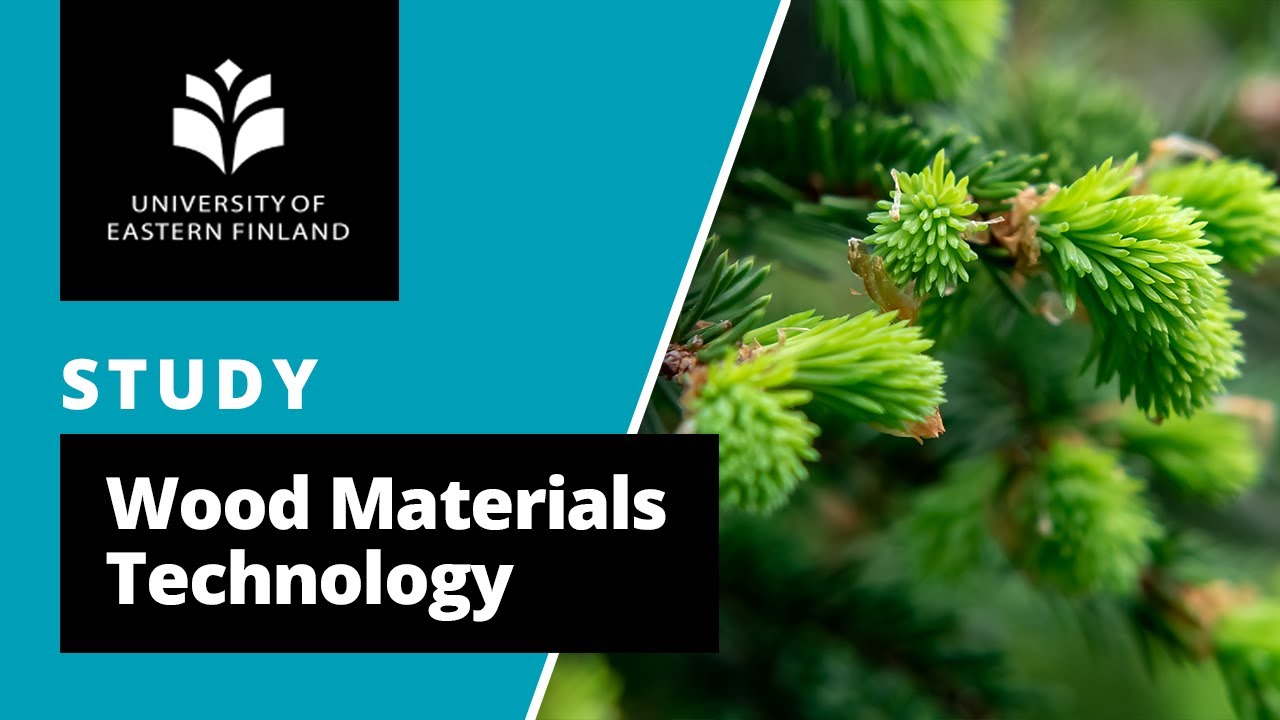 UEF // Wood materials science and technology