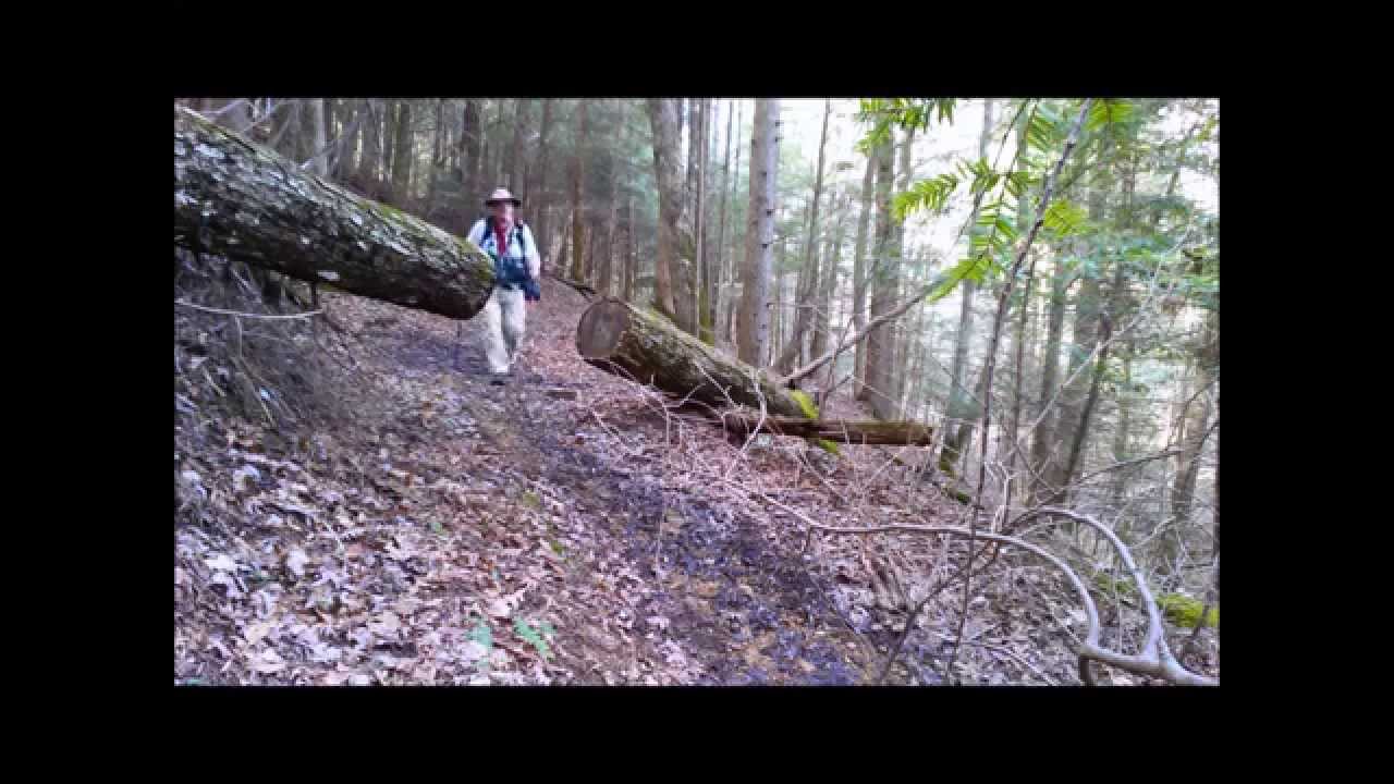 PCT Equipment Shakedown hike on the Sheltowee Trace Trail (March 2015)