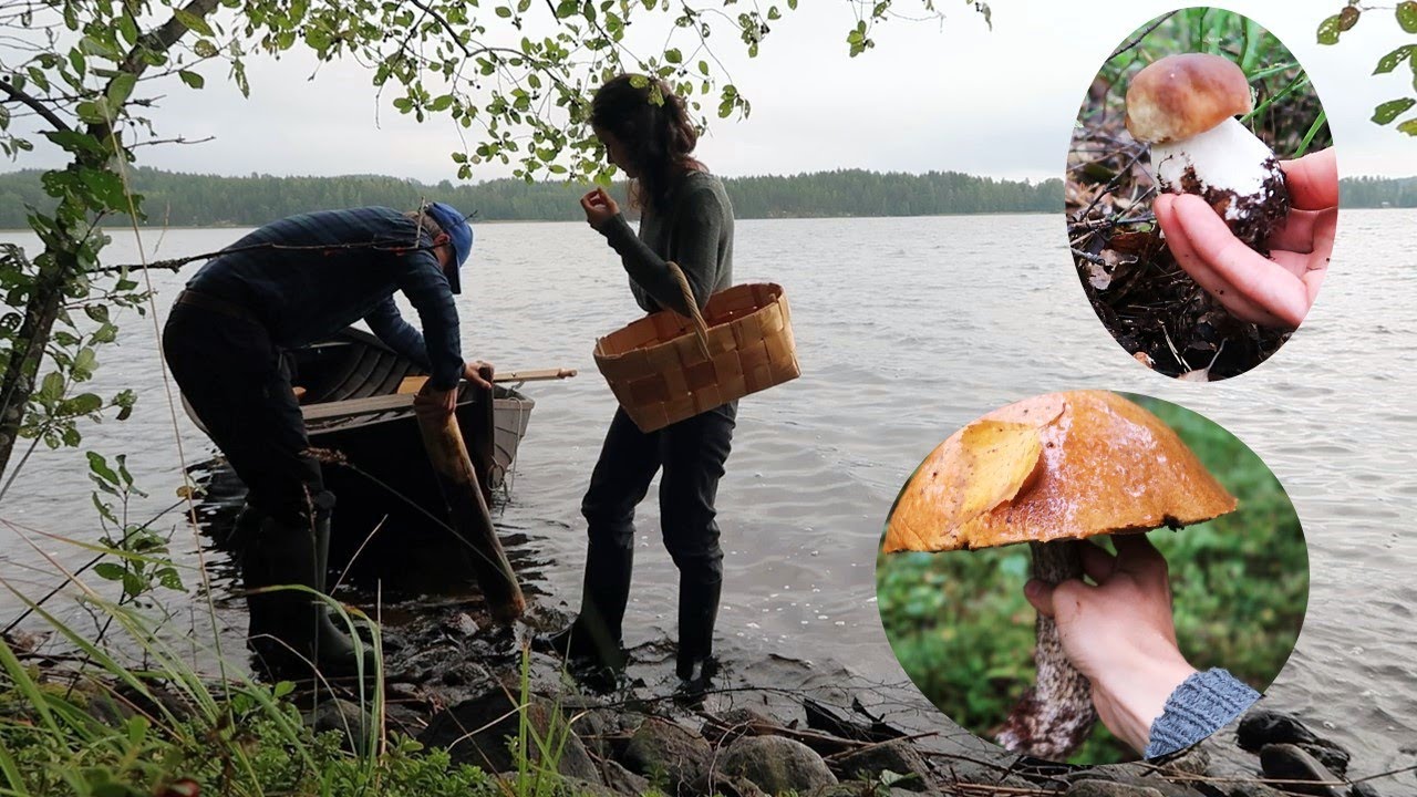 Mushrooming adventure in Finland: We found incredibly many mushrooms! | Part 1