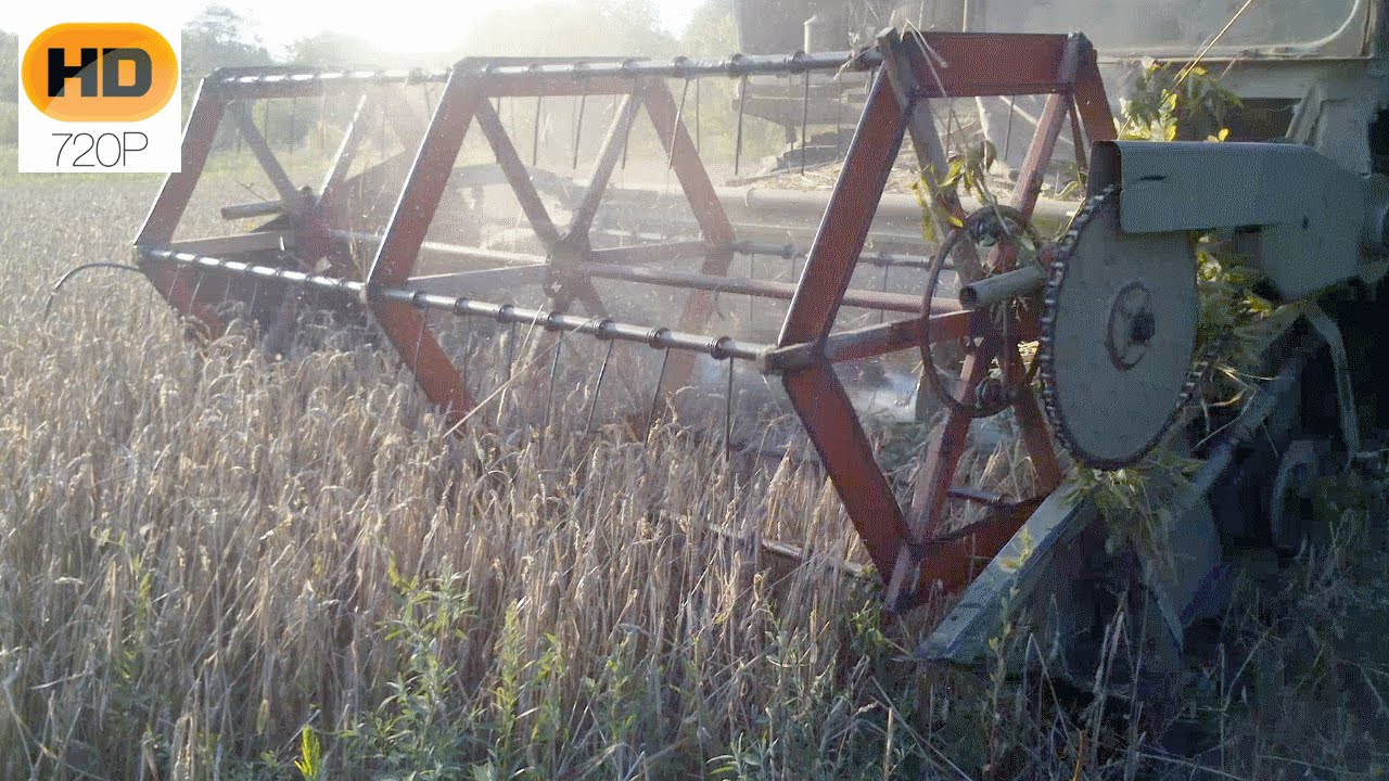Жатва 2014 г. ☆ Claas MERCUR ☆ Уборка ПШЕНИЦЫ ☆ [1 день]