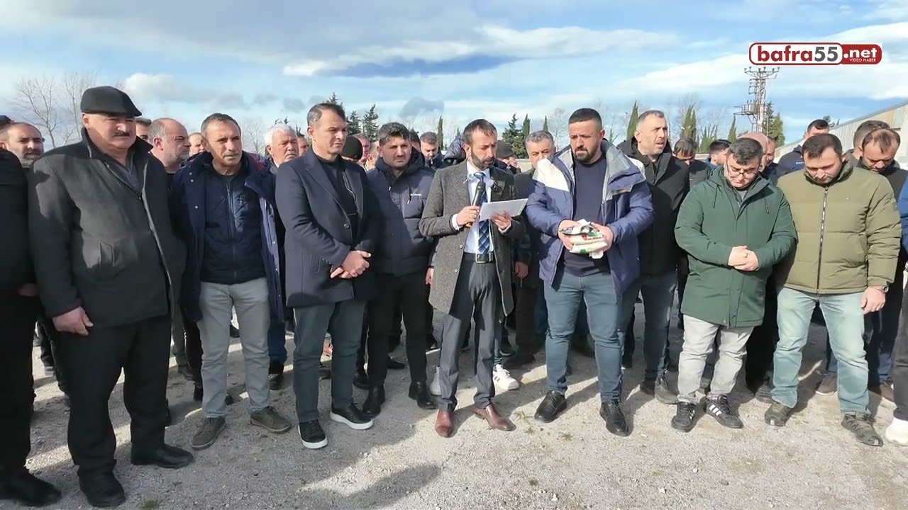 Bafra’da Çeltik Üreticilerinden Fiyat ve Sınıflandırma Tepkisi
