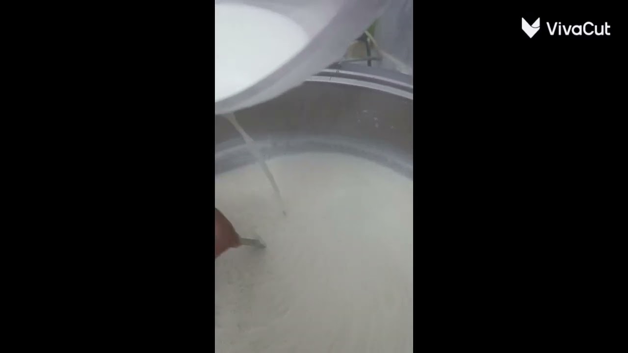 رز بحليب 