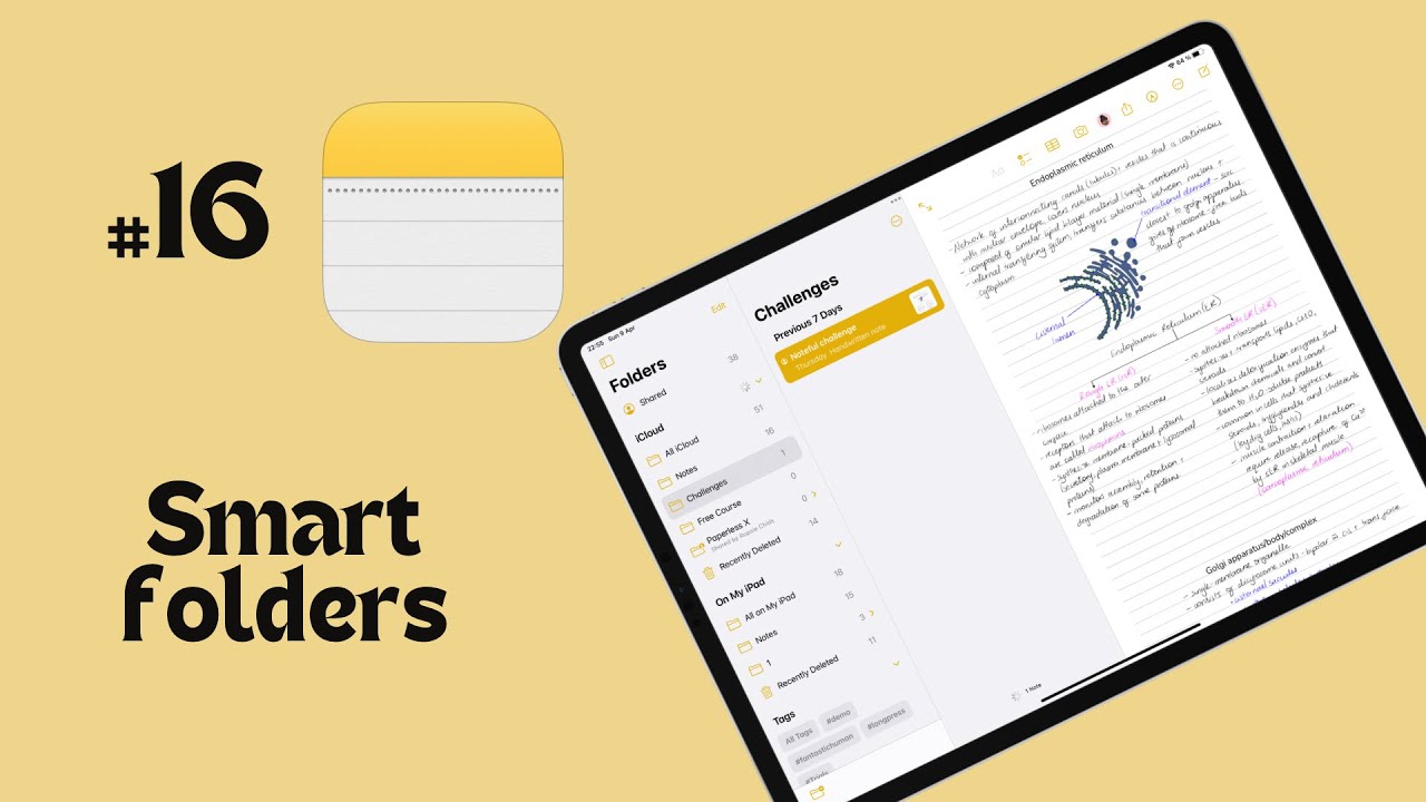 #16 Apple Notes (iPad): how to use smart folders for beginners