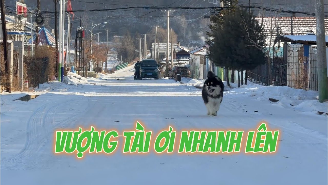 HÀNH TRÌNH ĐƯA BA 