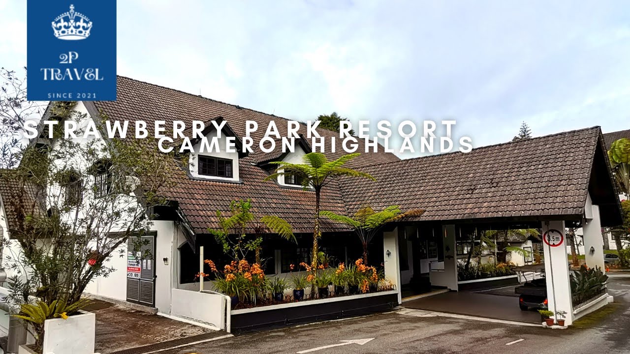 STRAWBERRY PARK RESORT AREA - CAMERON HIGHLANDS STREET VIEW -  BRINCHANG ( WALKING VIEW)