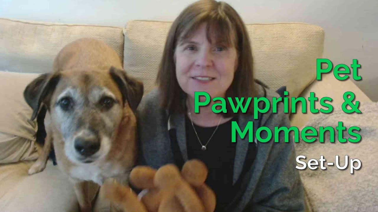 Get Ready: Pet Pawprints & Moments | My LifeJars