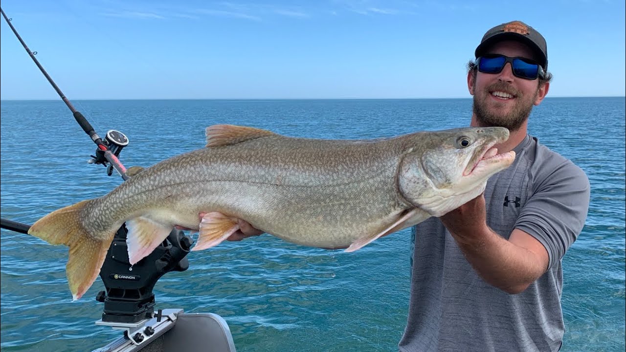 BIG LAKE TROUT on Lake Erie