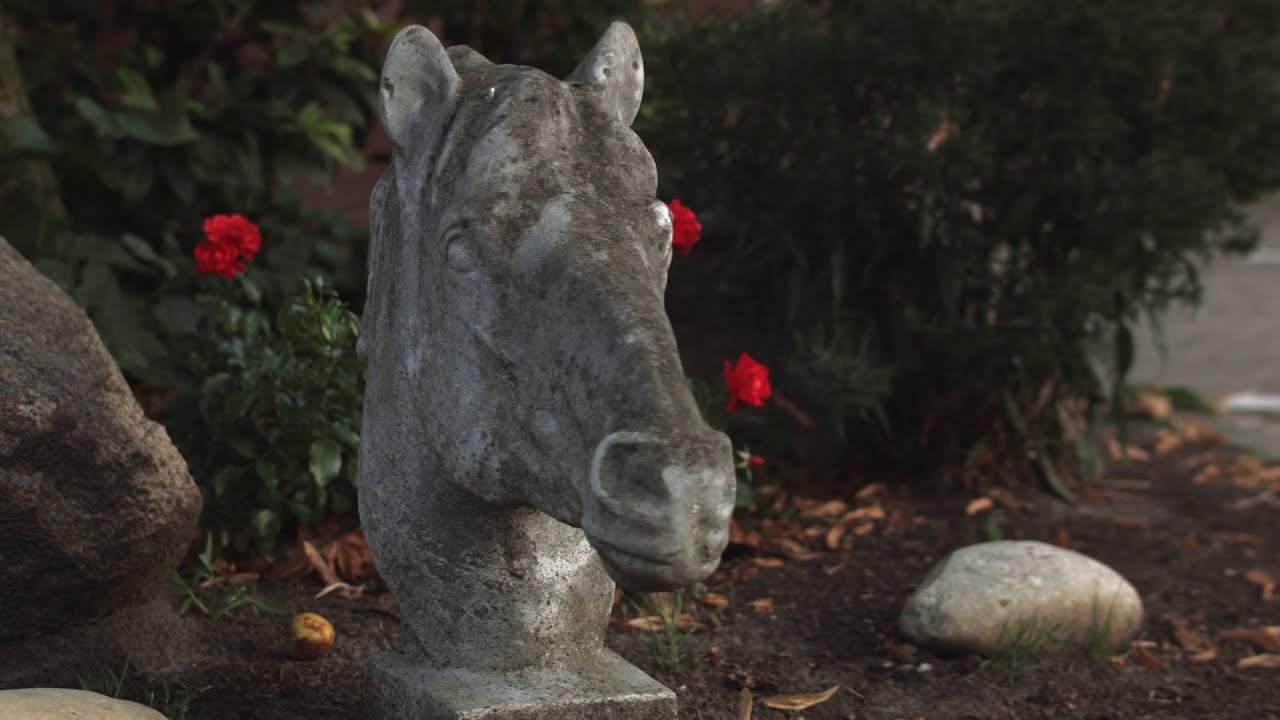 Conny Siemes  Zentrum für klassische Reitkunst  Siemeshof