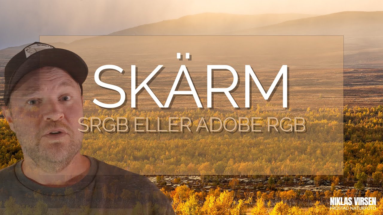 Välj rätt skärm för naturfoto, sRGB eller Adobe RGB?