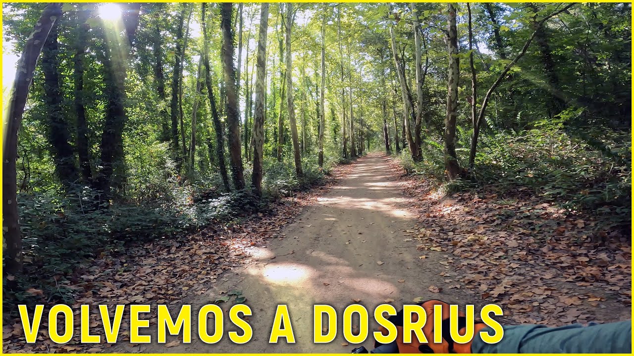 VOLVEMOS A DOSRIUS