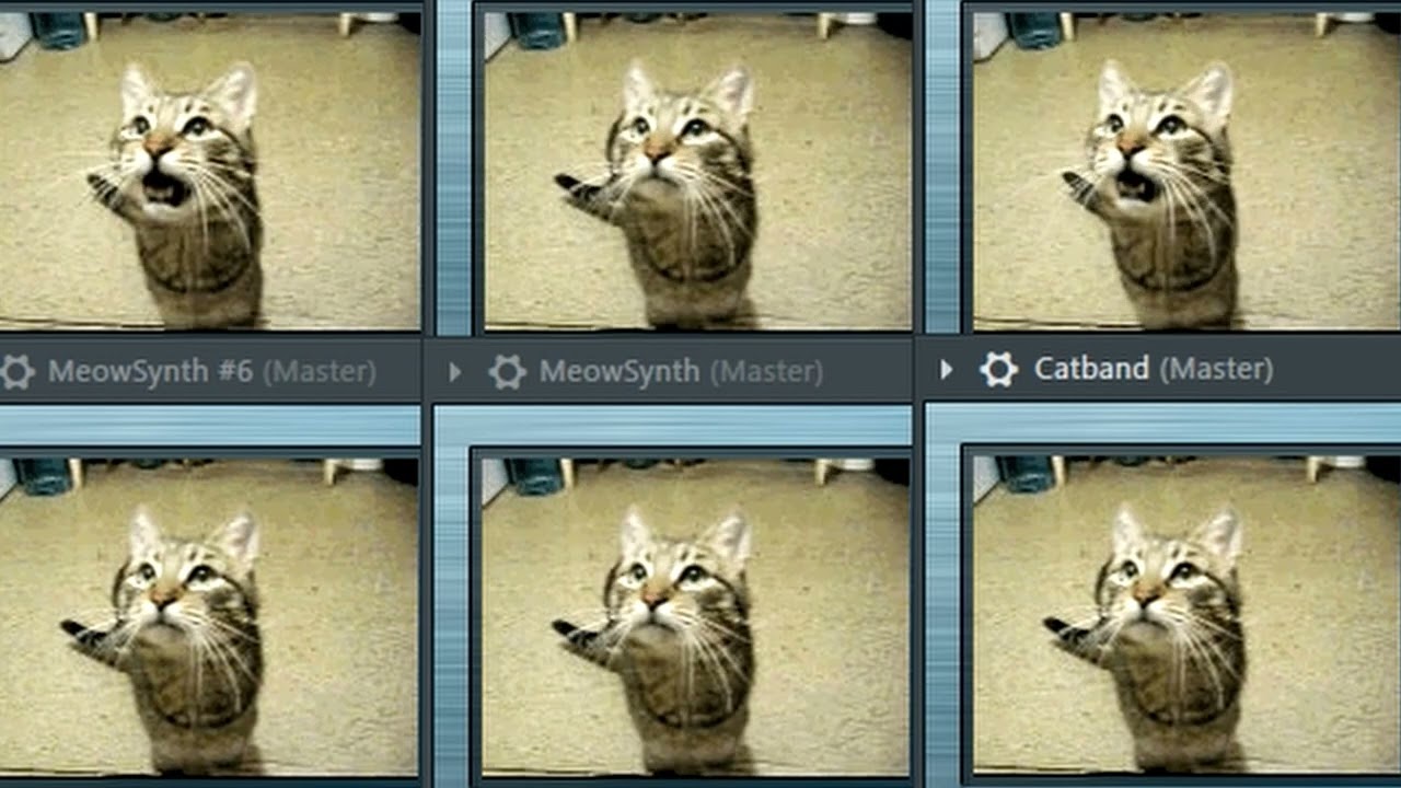 (Meowsynth) Owl City - Fireflies